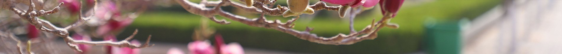 世界杯官方端网站登录入口世界杯优惠活